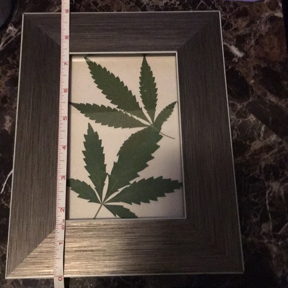 Pressed hemp picture - Picture 3 of 4